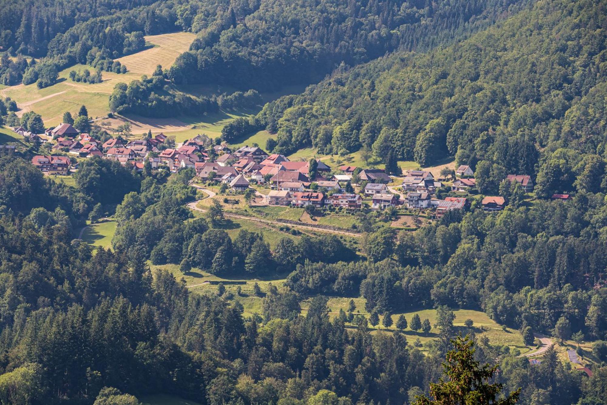 Ferienwohnung Belchenliebe Schonenberg Екстериор снимка