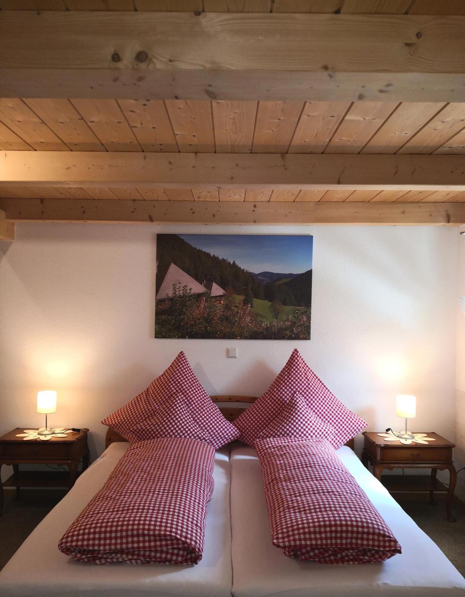 Ferienwohnung Belchenliebe Schonenberg Екстериор снимка