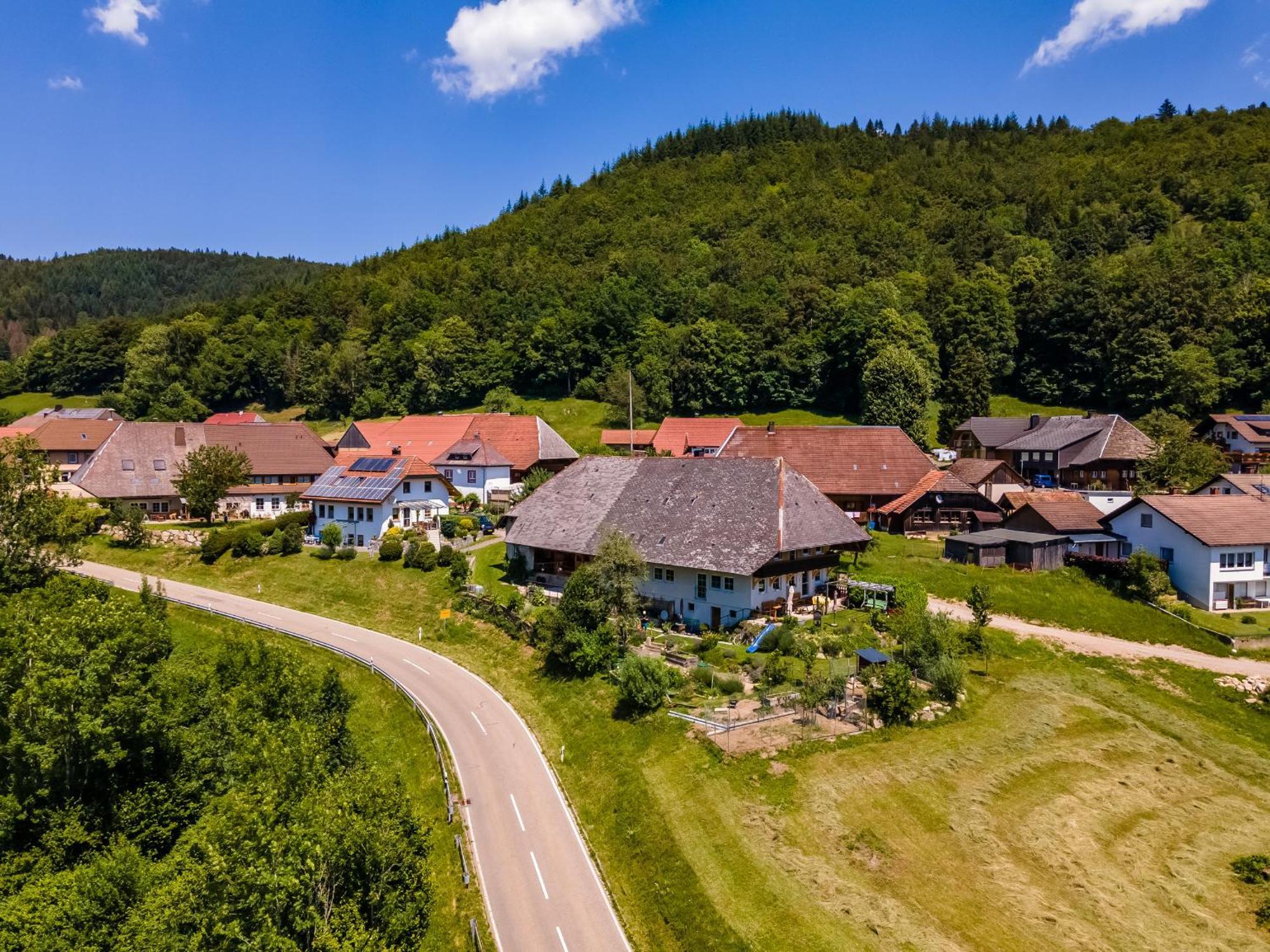 Ferienwohnung Belchenliebe Schonenberg Екстериор снимка