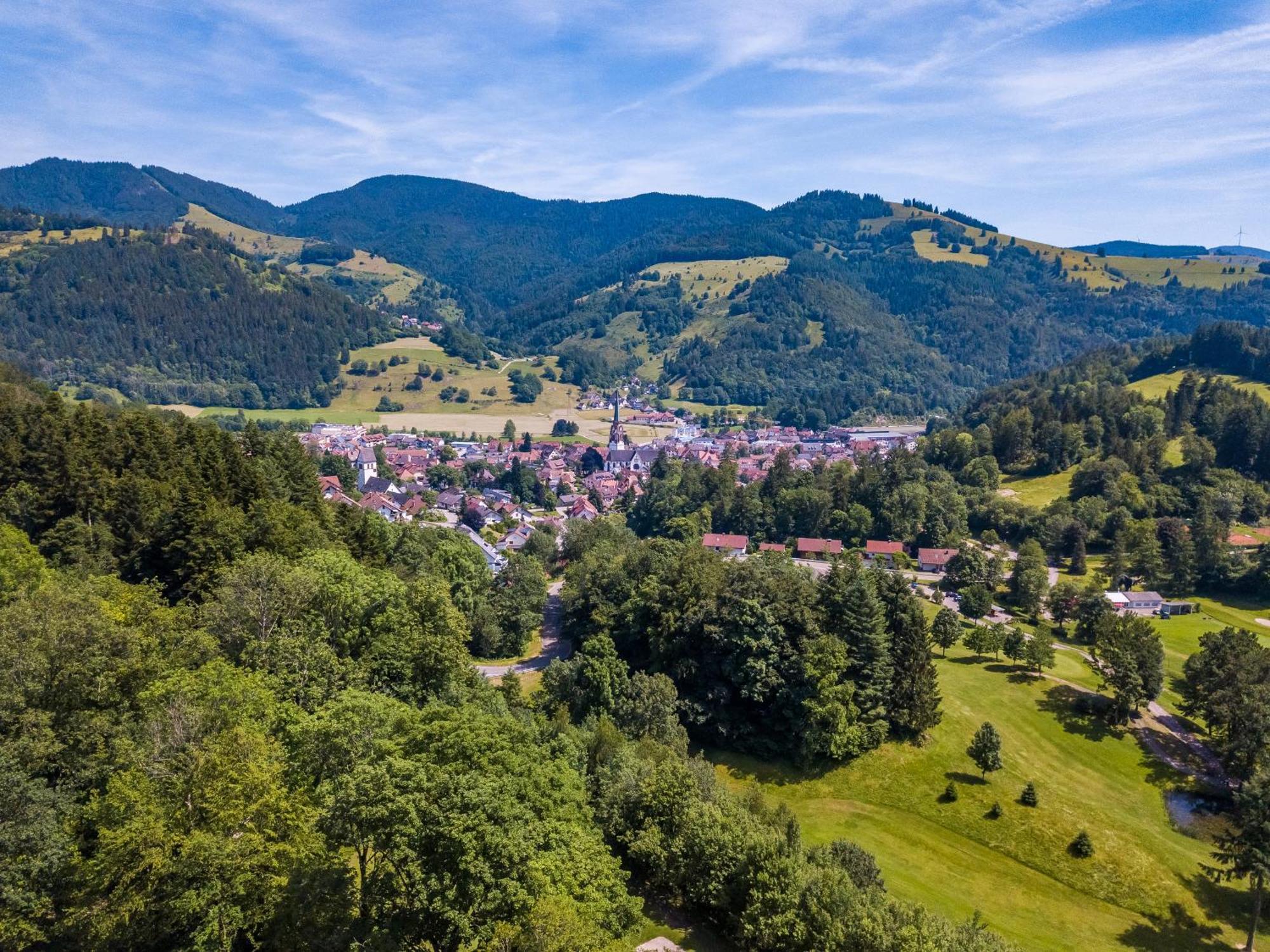 Ferienwohnung Belchenliebe Schonenberg Екстериор снимка